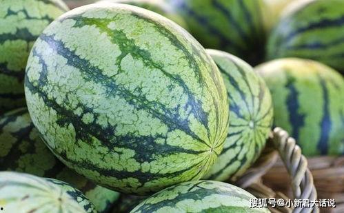 别吃隔夜瓜,别让健康受损 第1张 别吃隔夜瓜,别让健康受损 第1张